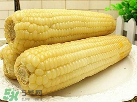 糯玉米有哪些營養(yǎng)？糯玉米可以減肥嗎
