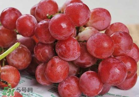 提子為什么會(huì)澀？提子澀怎么辦是沒熟嗎？