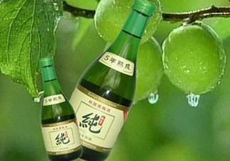 青梅酒泡多久可以喝？青梅酒好喝嗎？