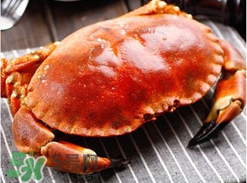 面包蟹是哪里產(chǎn)的？面包蟹哪里不能吃圖解