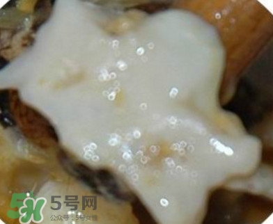 面包蟹是哪里產(chǎn)的？面包蟹哪里不能吃圖解