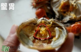 面包蟹是哪里產(chǎn)的？面包蟹哪里不能吃圖解