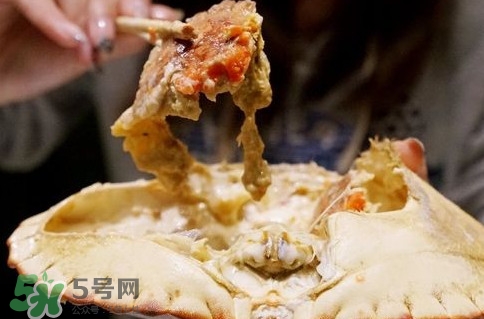 面包蟹什么季節(jié)吃最好？面包蟹什么時候最有黃