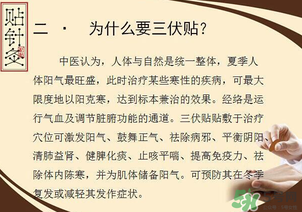 三伏貼能治什么??？三伏貼能治哪些病？