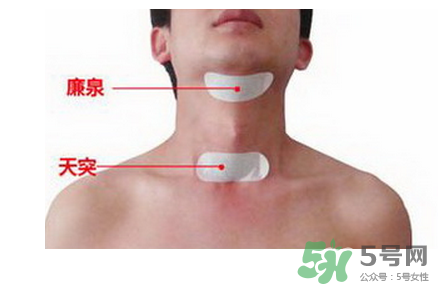 三伏貼貼在什么位置？三伏貼貼哪里？