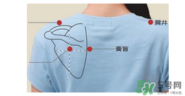三伏貼貼在什么位置？三伏貼貼哪里？