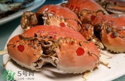 面包蟹什么季節(jié)吃最好？面包蟹什么時候最有黃