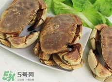 活面包蟹怎么保存？面包蟹能保存多久