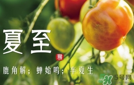 夏至是什么意思？夏至的習(xí)俗有哪些