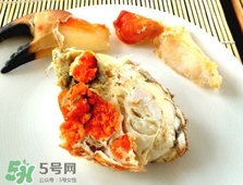 面包蟹是黃道蟹嗎？黃道蟹和面包蟹一樣嗎