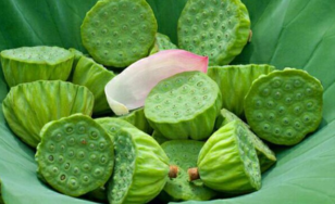 新鮮蓮子什么時候有？新鮮蓮子幾月有？