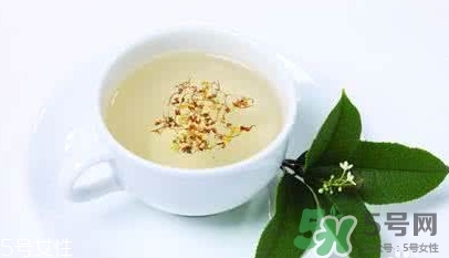 葛根茶多少錢一盒？2017葛根茶價格