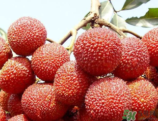荔枝吃多了會(huì)胖嗎？吃荔枝會(huì)長(zhǎng)胖嗎？