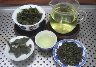 杜仲茶哪些人不適宜喝？杜仲茶飲用注意事項