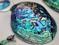 nike air foamposite one abalone鮑魚噴多少錢？