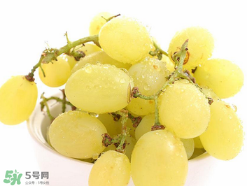 馬奶葡萄什么時(shí)候上市？馬奶葡萄2017上市時(shí)間