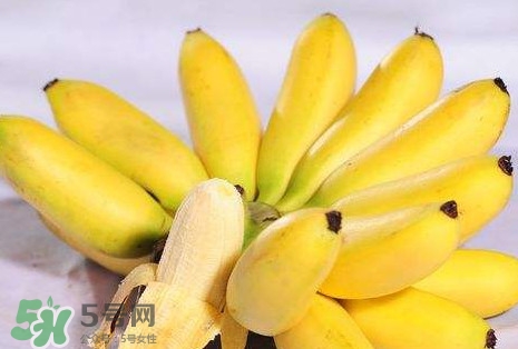 芭蕉和香蕉哪個(gè)貴？芭蕉和香蕉哪個(gè)好