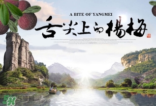 楊梅發(fā)霉了還能吃嗎？吃了發(fā)霉的楊梅會怎樣？