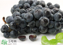 無籽葡萄孕婦能不能吃？無籽葡萄和葡萄的區(qū)別