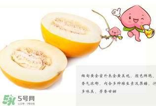 黃金瓜熱量高嗎？黃金瓜會(huì)胖嗎？