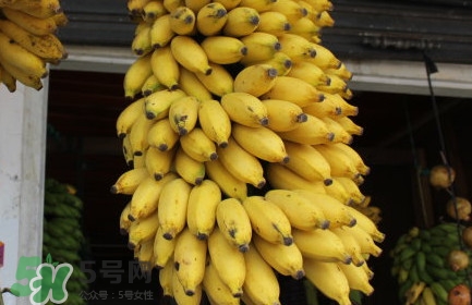 芭蕉不熟可以吃嗎？芭蕉怎么催熟