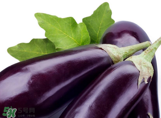 茄子怎么挑選？如何挑選茄子？