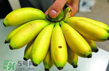 芭蕉不熟可以吃嗎？芭蕉怎么催熟
