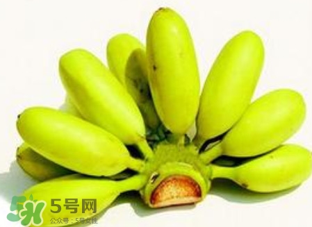 芭蕉是香蕉嗎？芭蕉和香蕉的區(qū)別