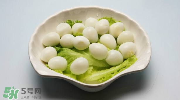 鵪鶉蛋和雞蛋哪個(gè)營養(yǎng)價(jià)值高？鵪鶉蛋怎么選購？