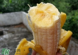 芭蕉是熱性還是涼性？芭蕉是熱性還是寒性？