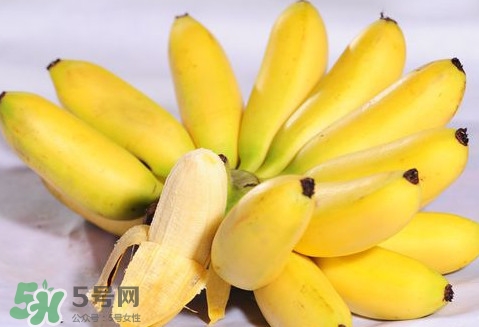 芭蕉是熱性還是涼性？芭蕉是熱性還是寒性？
