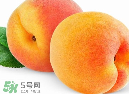 芭蕉和桃子能一起吃嗎？芭蕉可以和桃子一起吃嗎