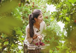 仙居楊梅在哪里？仙居楊梅哪里最好？