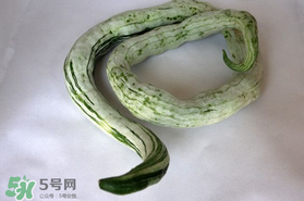 蛇瓜怎么挑選？蛇瓜的選購技巧