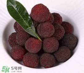 荸薺楊梅和東魁楊梅哪個(gè)好吃？荸薺楊梅跟東魁楊梅有什么區(qū)別？