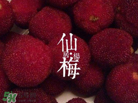 仙居楊梅多少錢(qián)一斤？仙居楊梅多少錢(qián)一斤2017？