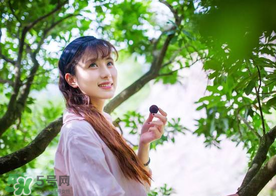 仙居楊梅在哪里？仙居楊梅哪里最好？
