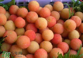 白楊梅可以泡酒嗎？白楊梅泡酒有什么功效？