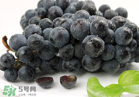 無籽葡萄有哪些品種？無籽葡萄多少錢一斤？