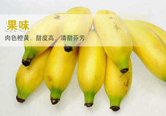 皇帝蕉多少錢一斤？2017皇帝蕉價格