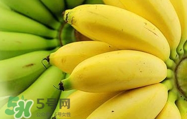 帝王蕉多少錢一斤？帝王蕉是轉(zhuǎn)基因香蕉嗎