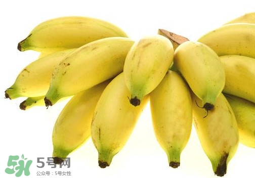 帝王蕉是芭蕉嗎？帝王蕉和芭蕉的區(qū)別