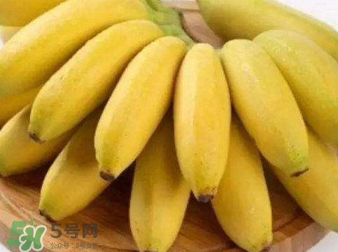 帝王蕉多少錢一斤？帝王蕉是轉(zhuǎn)基因香蕉嗎