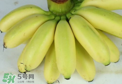 帝王蕉和皇帝蕉有區(qū)別嗎？帝王蕉和普通香蕉區(qū)別