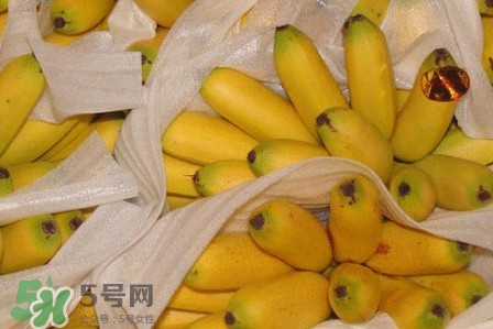 皇帝蕉是不是香蕉？皇帝蕉與普通香蕉區(qū)別