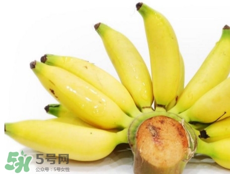 皇帝蕉有什么好處？皇帝蕉的功效與作用
