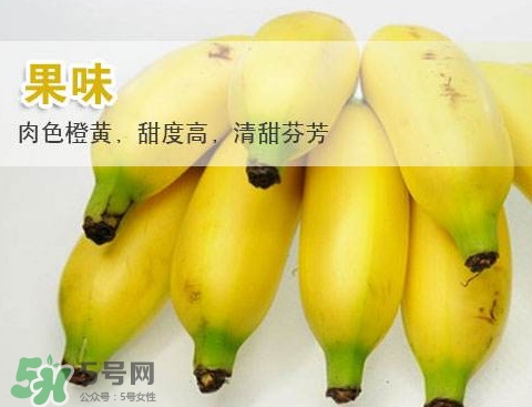 皇帝蕉多少錢(qián)一斤？2017皇帝蕉價(jià)格