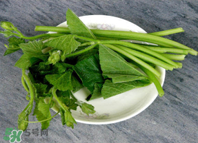 南瓜葉怎么處理？南瓜葉怎么炒？
