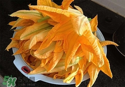 南瓜花有什么作用？南瓜花的作用及禁忌