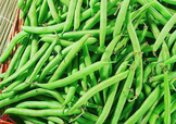 7月份可以種豆角嗎？豆角幾月份種？
